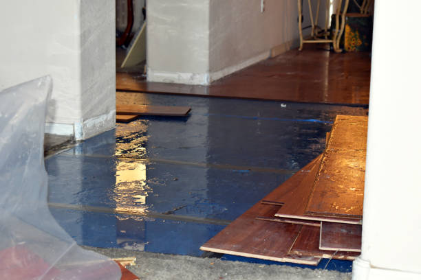Professional Sewage Cleanup technician working in Grant, MI